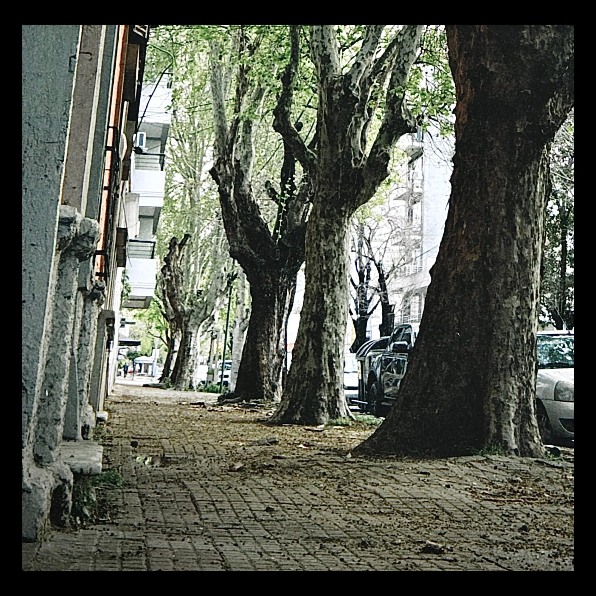 El Barrio